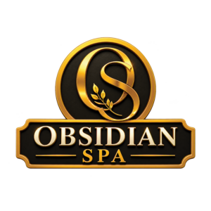Obsidian Logo fine